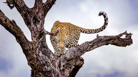 The Kruger National Park © www.theguys.co.za